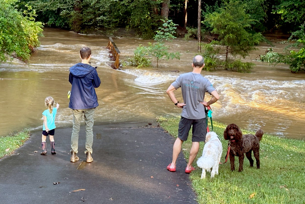 Flooding of Bolin Creek at Winmore neighborhood June 23, 2023